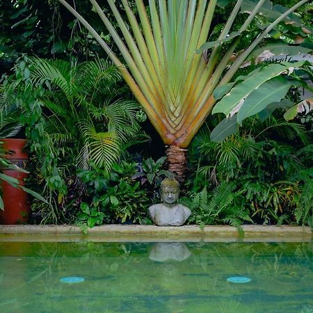 Ekaa Hotel Palomino Luaran gambar