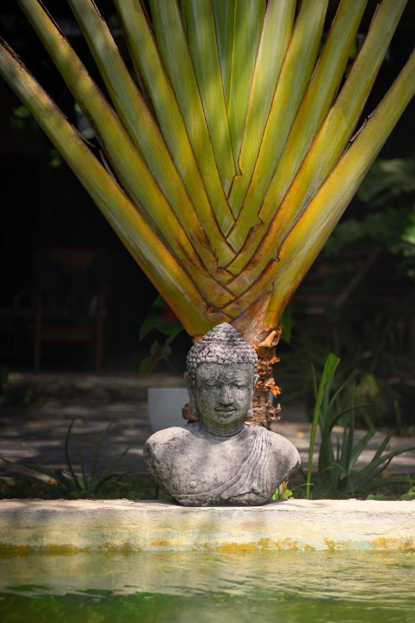 Ekaa Hotel Palomino Luaran gambar