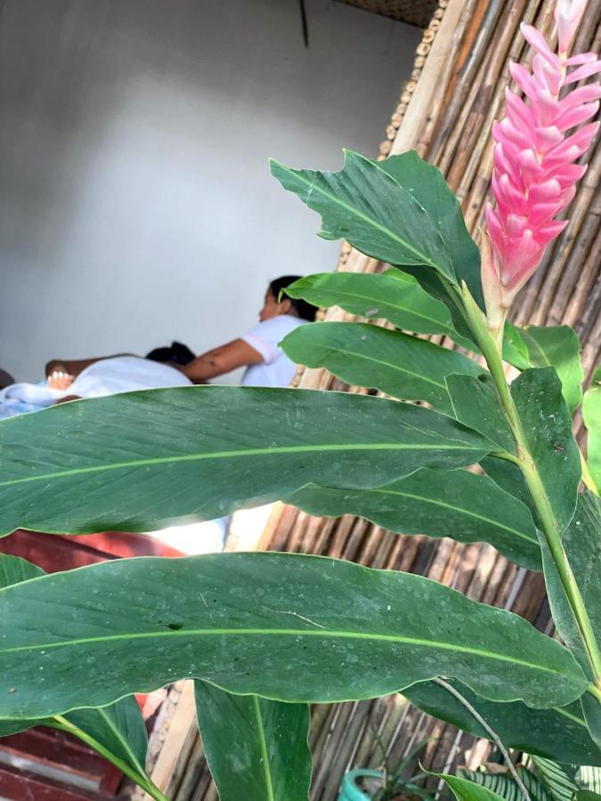Ekaa Hotel Palomino Luaran gambar
