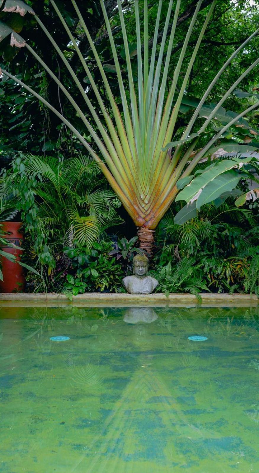 Ekaa Hotel Palomino Luaran gambar